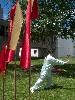 Beginning Yang Broad Sword.
