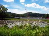 A view at new museum’s site from a beautiful lilli pond.