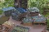 Books on sale at Tanglewood. A life of Bart�k, please?
