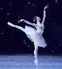 Balanchine Jewels launches a new series for the museum. 