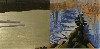 A diptych  by Kay Walking Stick. 