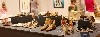 A display of vintage moccasins. 