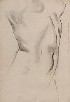 His drawings are much admired for their reductive abstraction.