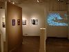 An installation view of the current exhibition at Kolok Gallery.