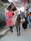 One of the alleyways of the medina