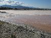 By the Sea, By the Sea / Salton Sea