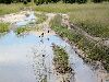 Delta road with birds