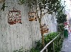 Path to the bird market
