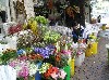 Flower Market