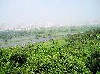 Farmlands give way to high-rise buildings