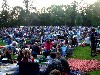 The lawn was packed for Wilco at Tanglewood. Giuliano photo.