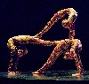 The three contortionists work as a team to create fascinating  tableaux and sculptural beauty.