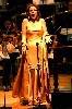 Renee Fleming in performance.