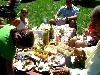 A typical Tangelwood picnic on the lawn.