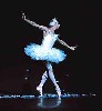 The Dying Swan leaves a trail of feathers in her wake.