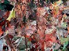 Is there a figure in this detail?