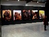 Installation at Yvon Lambert Gallery in Chelsea.