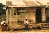 Store with live fish for sale, vicinity of Natchitoches, Louisiana, 1940  by Marion Post Wolcott.