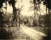 Untitled by Sally Mann, 1998, All Rights Reserved, Copyright Sally Mann