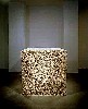 A compressed block of tooth picks.