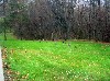 Taking off into the woods.
