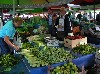 Farmers&rsquo; market