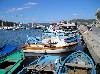 Boats in Sigacik harbor