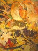 A detail of Lily and Sunflower, explosive textural forms