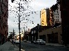Afternoon light in Chelsea.