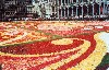 Close up of floral carpet