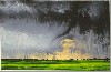 This work by Alexsis Rockman was acquired from his 2008 Rose exhibition.