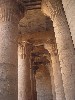 Ornately Decorated Columns