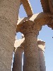 Ornate Temple Columns