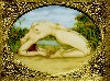 Tabithe Vevers from the Yoga Series.