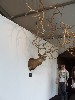A horny work of art at the entrance to Scope, a deer trophy  sculpture by Carolyn Salas and Adam Parker Smith.

