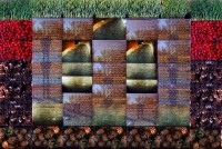 Vietnam Memorial - by: Charles Giuliano