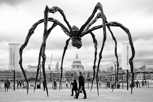 Spiders Alive! American Museum of Natural History - Edward Rubin