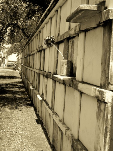 New Orleans Cemetery